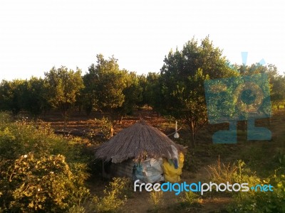 Farm Hut Stock Photo