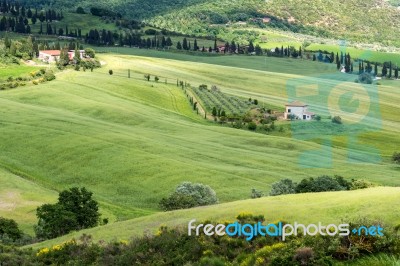 Farm In Val D'orcia Tuscany Stock Photo