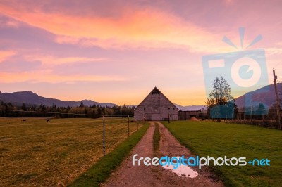 Farm Mornings Stock Photo