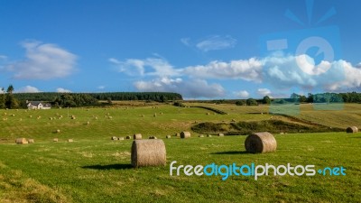 Farm Near Culloden Stock Photo