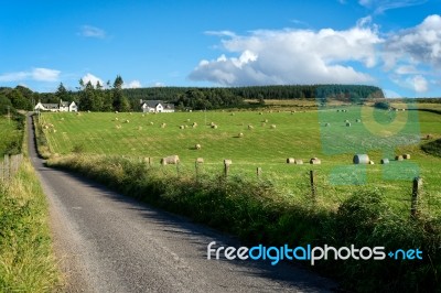 Farm Near Culloden Stock Photo