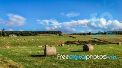 Farm Near Culloden Stock Photo