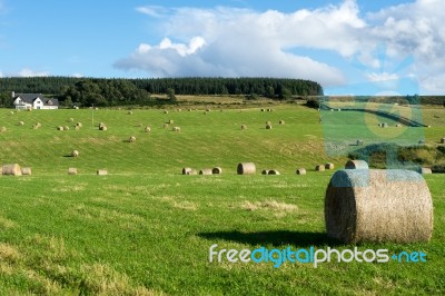 Farm Near Culloden Stock Photo