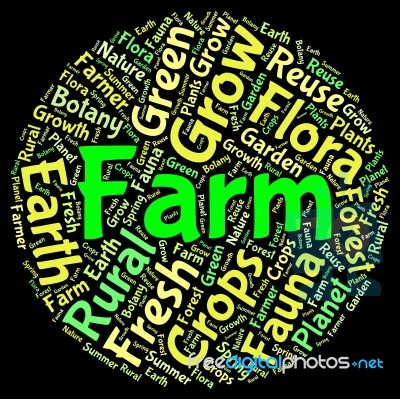 Farm Word Shows Farming Cultivate And Farmed Stock Image