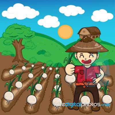 Farmer And Onion Plants A Harvest  Cartoon Stock Image