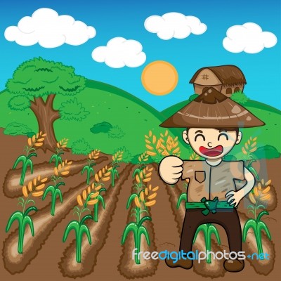 Farmer And Rice A Harvest  Illustration Cartoon Stock Image