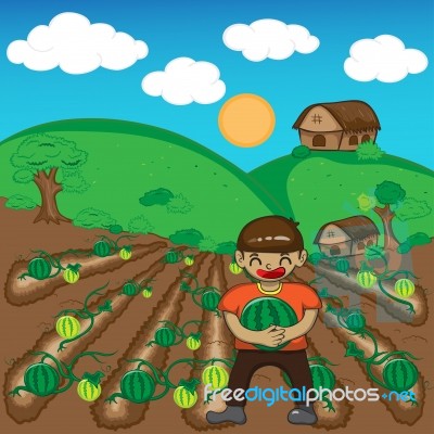 Farmer And Watermelon A Harvest  Illustration Cartoon Stock Image