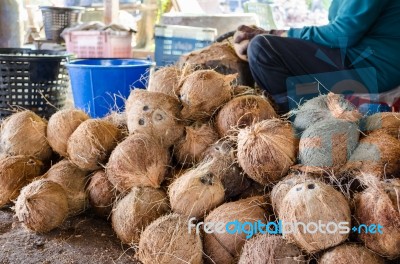 Farmer Cutting Coconut Shell Stock Photo