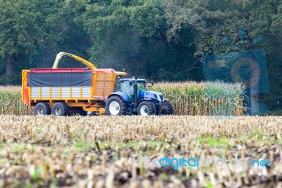 Farmer On Tractor Harvesting Corn In Fall Stock Photo