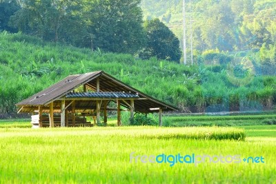 Farmer's Cottage Located In The Middle Of The Field Stock Photo