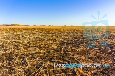 Farmers Fields In Sudan Stock Photo