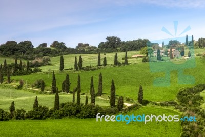 Farmhouse In  Val D'orcia In Tuscany Stock Photo