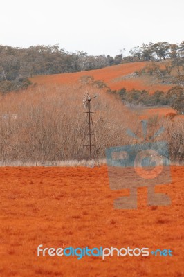 Farming Field In Tasmania, Australia Stock Photo