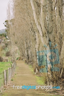 Farming Field In Tasmania, Australia Stock Photo