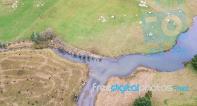 Farming Field In Tasmania, Australia Stock Photo