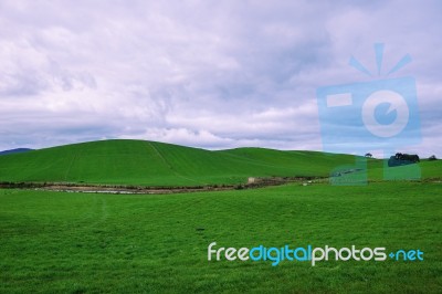 Farming Field In Tasmania, Australia Stock Photo