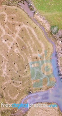 Farming Field In Tasmania, Australia Stock Photo