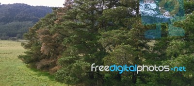 Farming Field In Tasmania, Australia Stock Photo