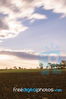 Farming Field In Toowoomba, Australia Stock Photo