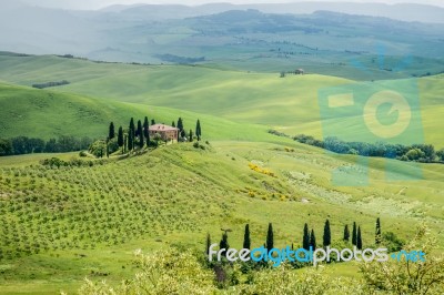 Farmland Below Pienza In Tuscany Stock Photo