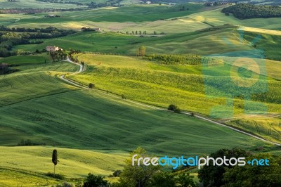 Farmland Below Pienza In Tuscany Stock Photo