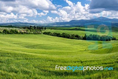 Farmland In Val D'orcia Tuscany Stock Photo