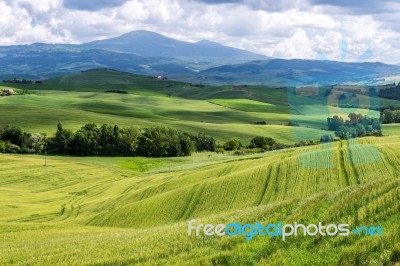 Farmland In Val D'orcia Tuscany Stock Photo