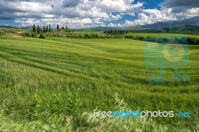 Farmland In Val D'orcia Tuscany Stock Photo