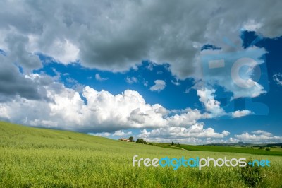 Farmland In Val D'orcia Tuscany Stock Photo