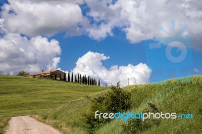 Farmland In Val D'orcia Tuscany Stock Photo