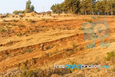 Farmland Landscape In Ethiopia Stock Photo