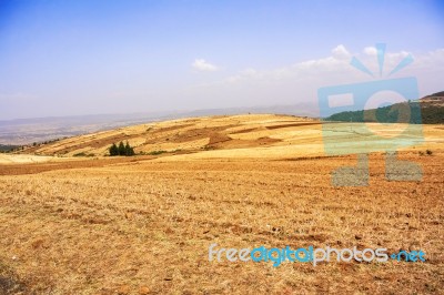 Farmland Landscape In Ethiopia Stock Photo