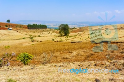 Farmland Landscape In Ethiopia Stock Photo