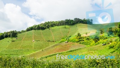 Farmland On The Hill Stock Photo