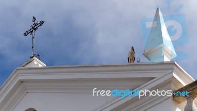 Faro, Southern Algarve/portugal - March 7 : Storks  At Faro In P… Stock Photo