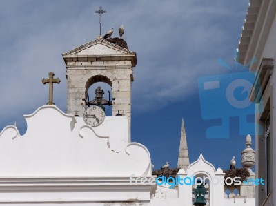 Faro, Southern Algarve/portugal - March 7 : Storks  At Faro In P… Stock Photo