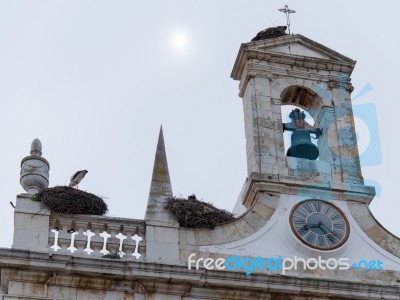 Faro, Southern Algarve/portugal - March 7 : Storks  At Faro In P… Stock Photo