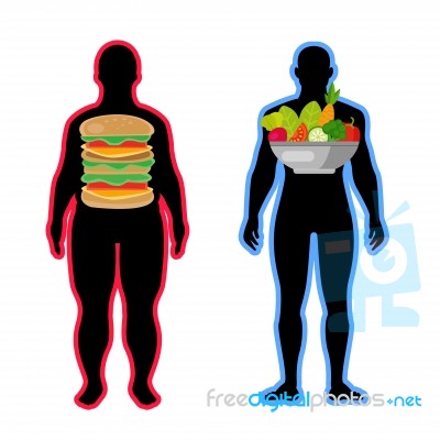 Fat And Slim Body - Healthy Lifestyle Concept Stock Image