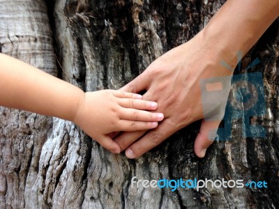 Father's And Daugther's Hand Stock Photo