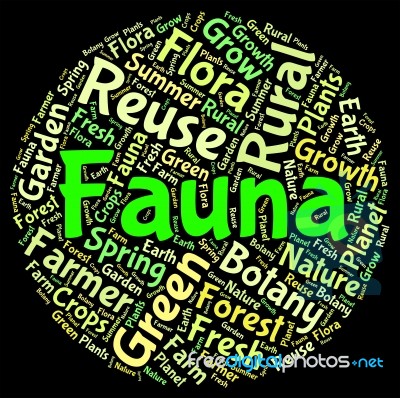 Fauna Word Indicates Animal Kingdom And Area Stock Image