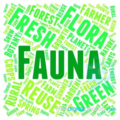 Fauna Word Meaning Animal Life And Zoology Stock Image