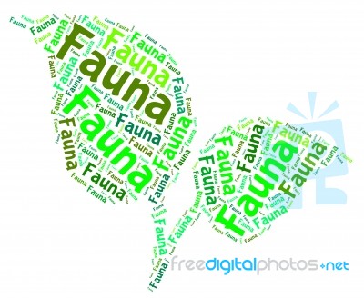 Fauna Word Represents Animal Kingdom And Area Stock Image