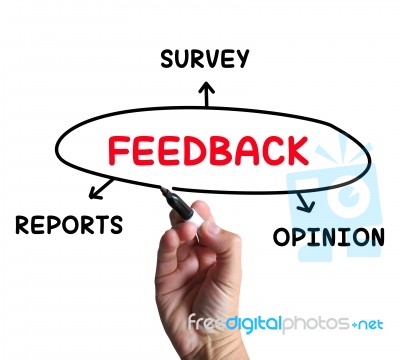 Feedback Diagram Means Reports Criticism And Evaluation Stock Image