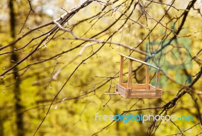 Feeding Trough For Birds On A Tree Stock Photo