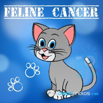 Feline Cancer Represents Malignant Growth And Cat Stock Image