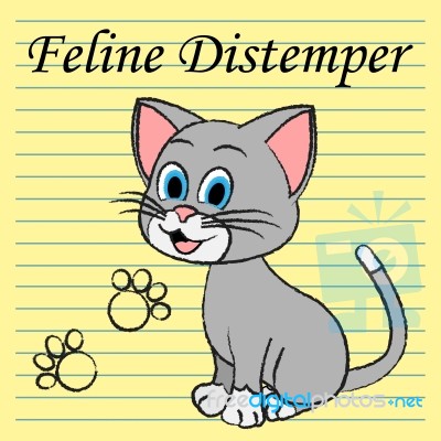 Feline Distemper Represents Domestic Cat And Cats Stock Image