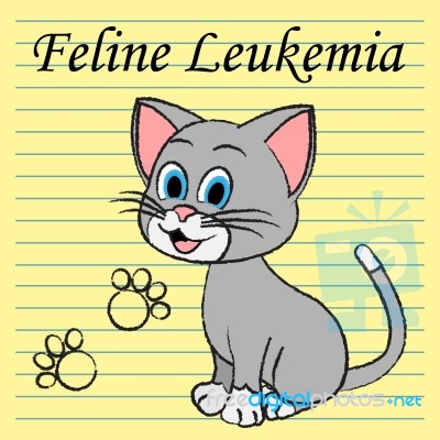 Feline Leukemia Represents Domestic Cat Cancer Illness Stock Image