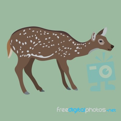 Female Deer On Green Stock Image