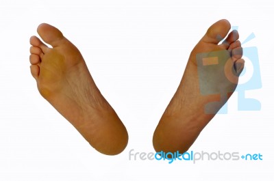 Female Feet Stock Photo