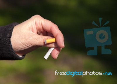 Female Hand Breaks A Cigarette Stock Photo